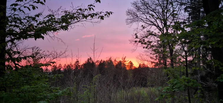 20250417_195923 (1).jpg